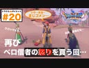 見なくていい回。いや…これには深い訳が…【ドラクエ11s3D#20】サマディー城下町散策（西半分）〜もう一度こうやの地下迷宮へ向かうw