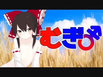 男　の　娘　