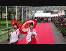北九州ポップカルチャーフェスティバル2019（KPF2019）レッドカーペットウォーキング  / 2019.12.01 / 西日本総合展示場 イベント広場（タコマ通り側）