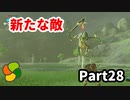 【実況】今年で定年を迎える父をハイラルの大地に放り込むPart28【ゼルダの伝説BotW】