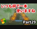 【実況】今年で定年を迎える父をハイラルの大地に放り込むPart29【ゼルダの伝説BotW】