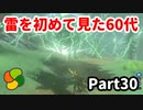 【実況】今年で定年を迎える父をハイラルの大地に放り込むPart30【ゼルダの伝説BotW】