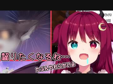 でびでび・でびる2.0の耳を齧りたくなり、耳しか目に入らなくなるロアちゃん