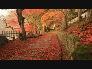 紅葉の京都(2019/12/1)