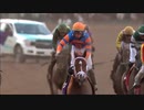 【競馬】2019 BCクラシック　ヴィーノロッソ