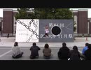 【京大の学祭で】メグメグ☆ファイアーエンドレスナイト【踊ってみた】【星空凛コス】