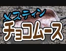 メスティンで作るチョコムース