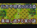 都市伝説ならぬ村伝説！確かめねばならぬ！「赤い森の魔女」実況プレイ#５