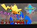 ワイルドエリアの闇は深い【ポケットモンスターソード Part18】