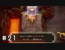 【ゼルダの伝説夢をみる島】思い出リメイク⁂Part21【実況プレイ】