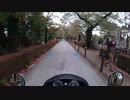 Honda CB400sf の音を楽しむ動画【青山霊園】