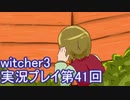 探し人を求めてwitcher3実況プレイ第41回