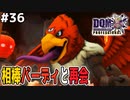 【DQMJ3P実況 #36】新たな舞台は火山！アンセスの相棒「バーディ」と遂に出会う！ドラクエジョーカー3プロフェッショナルを初見実況プレイ！