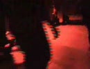 Grovesnor - Wallflowers