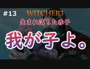 【実況】ダークファンタスティックウィッチャー Part13