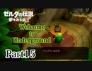 求むー「ゼル伝」のプロー【ゼルダの伝説　夢をみる島】 part15