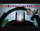 Ace Combat 7 Multiplayer499 バトルロイヤル Su-37 + TLS