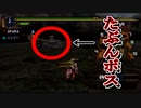 中腰ハンター、岩に殺される【MHP2G】#27