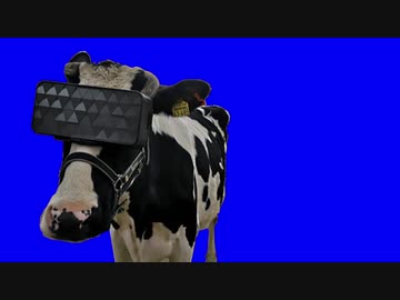 VRする牛BB