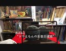 バーチャル古本屋ナンブ【ドラえもんのソフビ鋳型】約1分でサクッと商品紹介(6)
