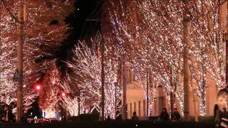 人気の Boa メリクリ 動画 43本 ニコニコ動画