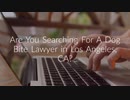 The Pivtorak Law Firm - Dog Bite Lawyer in Los Angeles, CA