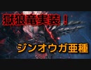 【モンスターハンターワールド：アイスボーン】獄狼竜ジンオウガ亜種実装！そして…【実況】
