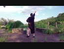 【らむね】　お気に召すまま　踊ってみた　【2周年】