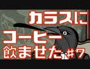 カラスにコーヒー飲ませたら吐いたpart7