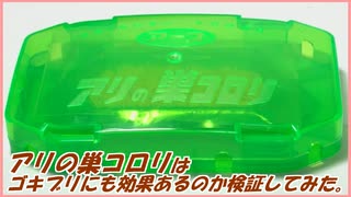「アリの巣コロリ」はゴキブリの巣もコロリしてくれるのか検証してみた。