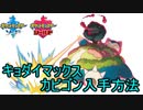 【ポケモン剣盾】 キョダイマックスカビゴンの入手方法