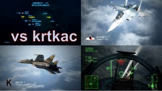 Ace Combat 7 Multiplayer500 バトルロイヤル Su-37