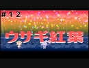 【Rabi-Ribi】バニーガールwith弾幕アクション＃１２【実況】
