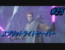 スターウォーズ好きが実況するジェダイ：フォールン・オーダーPart25