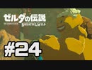 【実況】リンクのハイラル道中膝栗毛 part24【ゼルダの伝説BotW】