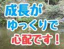 成長がマイペースで心配です！☆スーパー発達メンター　NLPer　親子発達お悩み相談室　子ども　発達支援　コーチ　ティーチ　メンター　心理　感覚統合　原始反射　大脳新皮質　視覚　脳　EQ　IQ