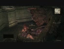 【DDON】ドラゴンズドグマオンライン　グール　リョナ