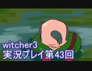 探し人を求めてwitcher3実況プレイ第43回