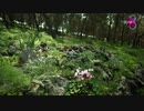 GODS THOUGHTS TOWARD YOU