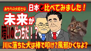 【ホルホル失敗】精神勝利するはずが( ꒪⌓︎꒪)!!　断末魔の強がりと傷のなめ合いへ発展…:(   ´꒳`;)