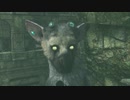 【人喰いの大鷲トリコ】鶏喰いのわしが実況プレイ  Part7
