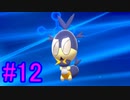 【ポケモン剣盾】物語をじっくり楽しみながら旅をする☆パート12【実況】