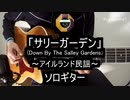 【ソロギター】アイルランド民謡「サリーガーデン」をアコギで弾いてみた