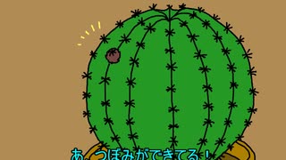リンちゃんとサボテン【トークロイド】
