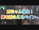 【第五人格】Q戦慄の竜巻 鹿ちゃん強化！猪を狩るベインw 断罪狩人 呪術師 IdentityV だいごじんかく アイデンティティファイブ さとみくん推し dbd