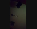 オッサンが歌ってみた。お気に召すまま。