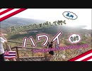 高いところを目指していく ハワイ #08 ダイヤモンドヘッドとマカプウビーチと