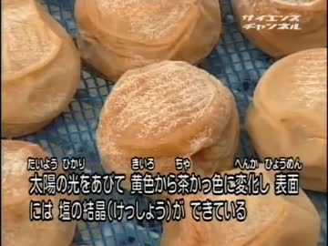 梅ぼしができるまで.redflash
