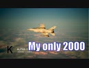 Ace Combat 7 Multiplayer503 バトルロイヤル F-16C + GPB