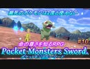 ポケモンソードを関西のアホ2人で実況したらバカ面白い旅に＃10